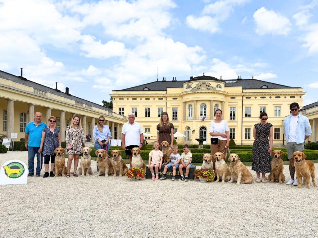Headtheway family of the day